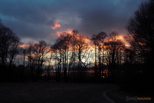 Sigma DP2: otestovali jsme Foveon!