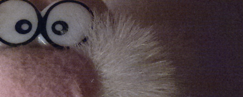 Nokia 808 PureView: mobilní zrcadlovkobijec