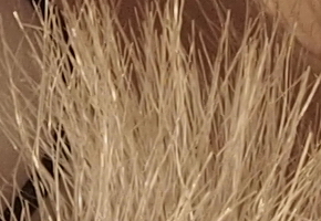 Olympus OM-D E-M5: elegantní fotokladivo