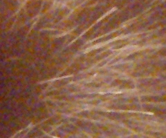 Sony Alpha A230: nejlevnější z nového trojlístku