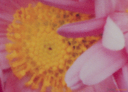 Epson Stylus Photo PX720WD: multifunkční krasavec