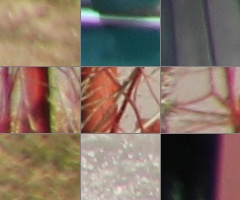 Megatest ultrazoomových objektivů