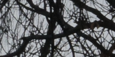 Sony DT 16-50mm F2.8 SSM