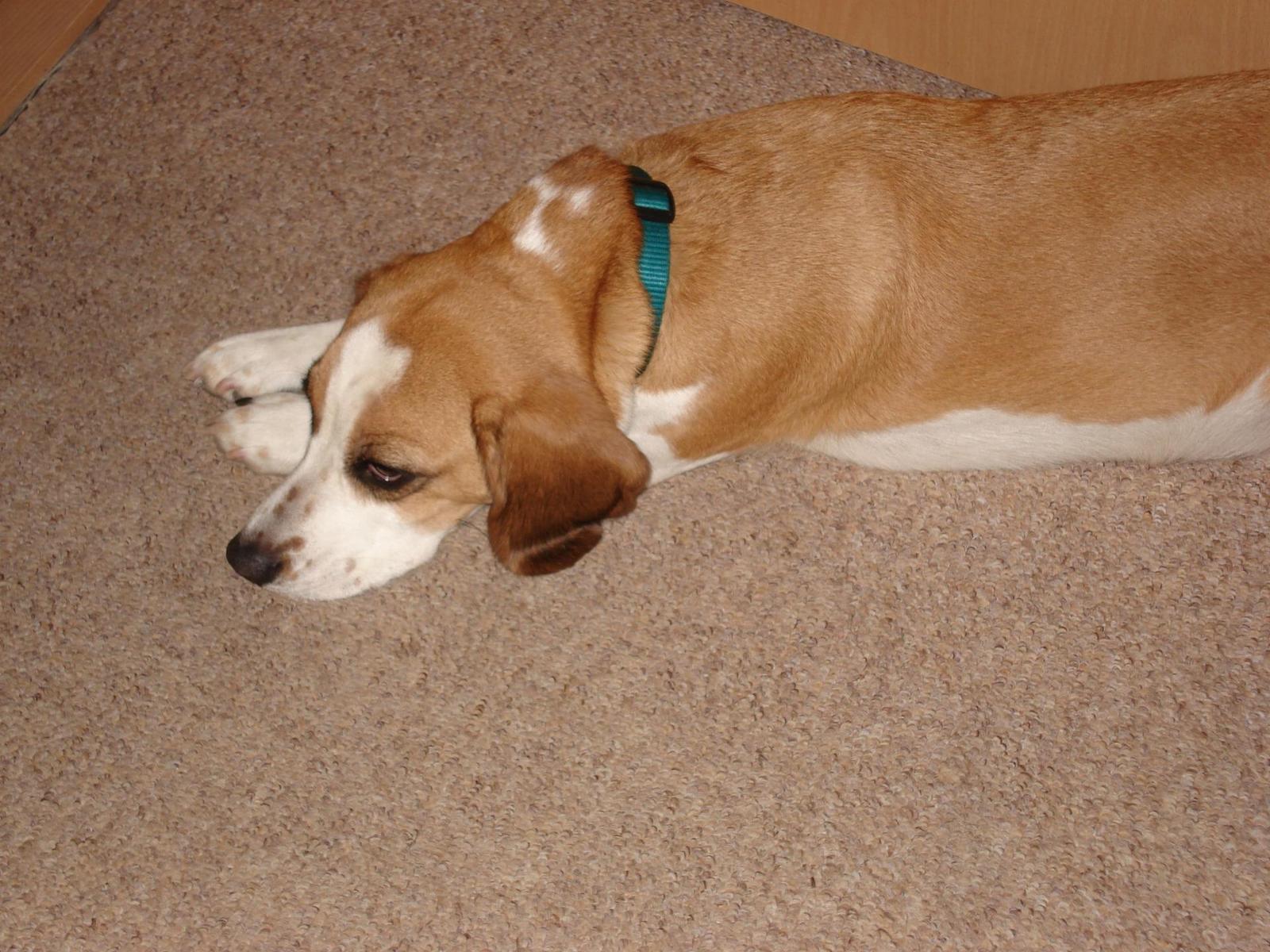 Cyber-shot DSC-W30: malý citlivý automat