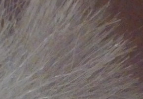 Nokia N9: nástupce fotomobilové legendy?