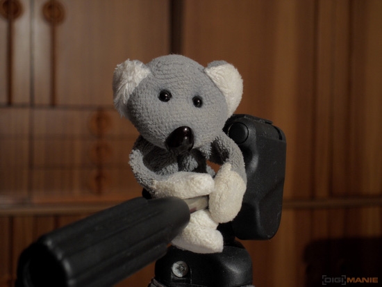 Fotíme s Koalou: Rozlišení a megapixely!