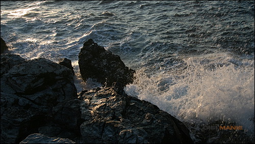 Stativ - nejlepší přítel fotografa