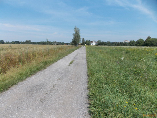 Nikon Coolpix L810: pro nenáročné