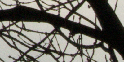 Sony SAL-70400G (70-400mm F4-5,6 SSM G)