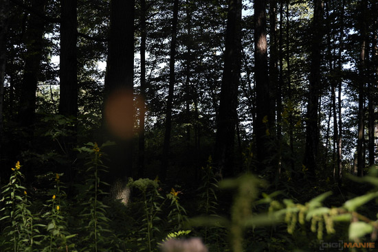 Fotíme s Koalou: Zvířátka