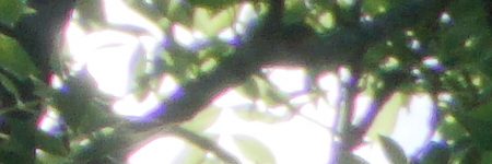 Sony E PZ 18-105mm F4 G OSS (SELP18105G)