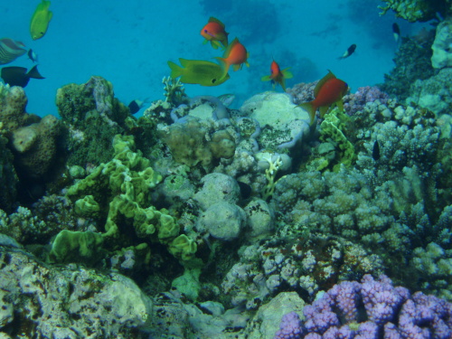 Modrý vesmír - tipy pro fotografování