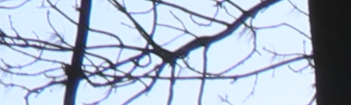 Canon EF-S 18-135mm f/3.5-5.6 IS Nano USM