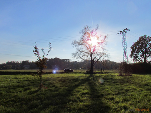 Canon PowerShot SX30 IS: sebevědomý rekordman