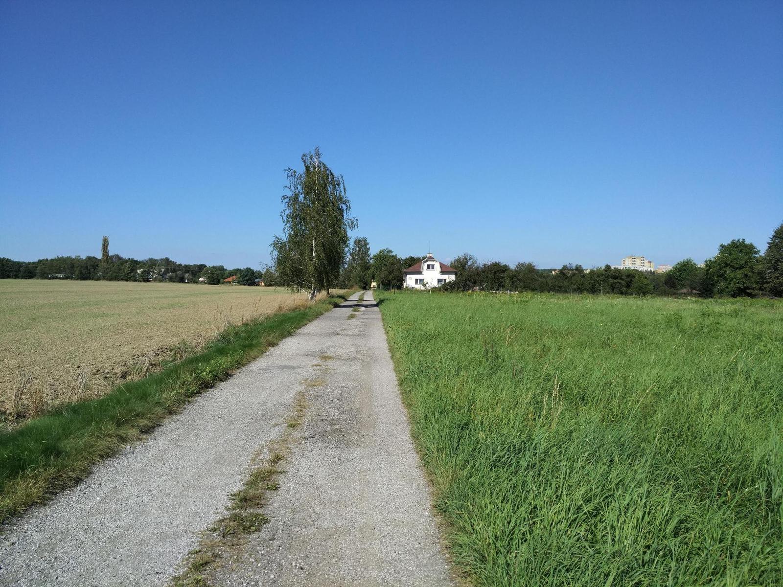 Xiaomi Mi 4C 16GB: ostřejší než břitva