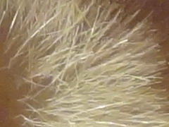 Sony Cyber-shot WX7: překoná skvělou WX5?