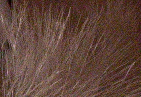 Sony a3000 (ILCE-3000): CSC co nejlevněji