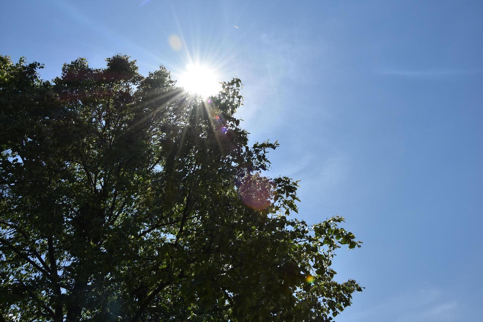 Nikon D7200: přesvědčivé zrcadlo