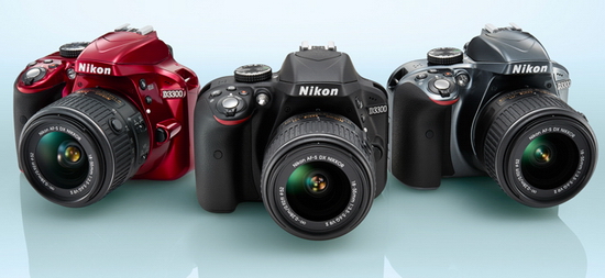 Zrcadlovka Nikon D3300 s 24MPx čipem bez AA filtru