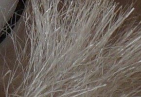 Sony SLT-A58: silný základ