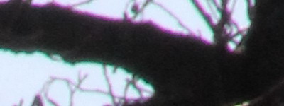 Megatest ultrazoomových objektivů