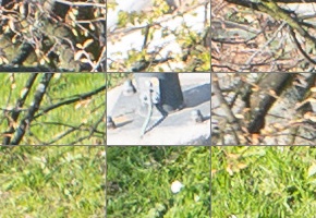 Panasonic Lumix S 24-105mm F4 Macro O.I.S.