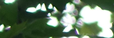 Sony Cyber-shot RX10: ultrazoom, jaký jsme chtěli