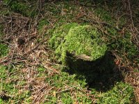 Canon PowerShot A520: Tak trochu jiné Áčko s plným manuálem