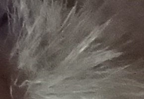 Sony Cyber-shot WX220: ostře nabitý drobek