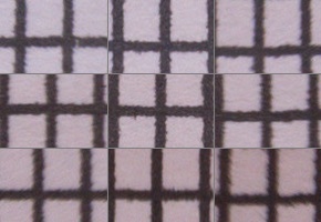 Panasonic Leica DG Vario-Elmarit 12-60mm / F2.8-4.0 ASPH. / Power O.I.S.