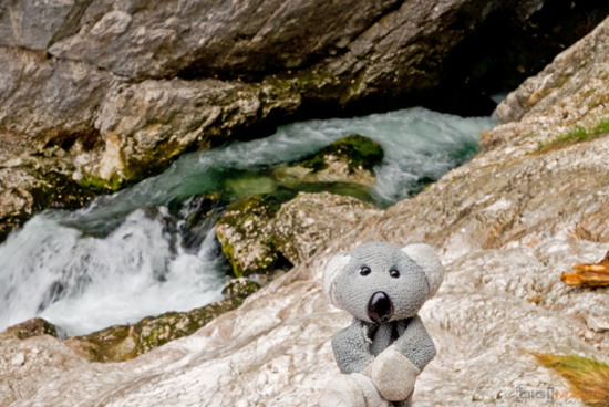 Koala cestuje: Slovinsko 2. díl (Bledské a Bohinjské jezero)
