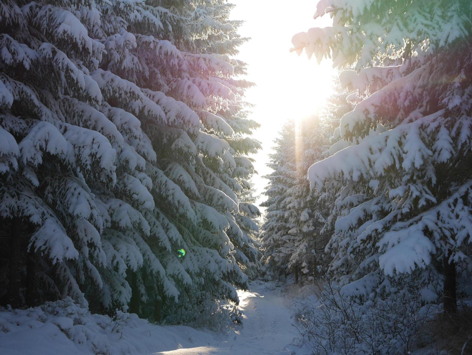 Panasonic Lumix G Vario 35-100mm F4-5.6 MEGA O.I.S.