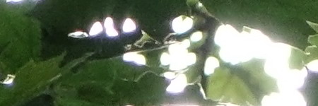 Sony Cyber-shot RX10: ultrazoom, jaký jsme chtěli