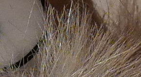 Panasonic Lumix LX100: pozoruhodný profi kompakt