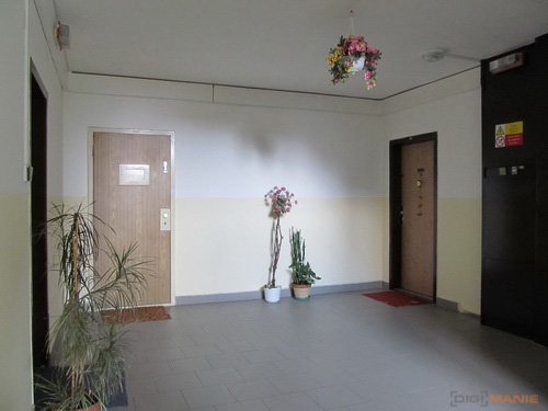 Canon PowerShot SX130 IS: levný všeuměl