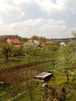 Téma pro tento měsíc - Jak fotí fotomobily, díl II.