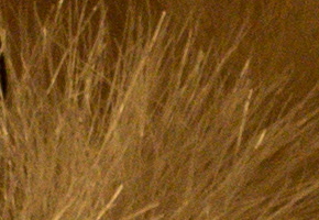 Nikon D5300: bezdrátový DSLR turista