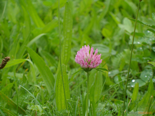 Starý vs. nový aneb megapixely k ničemu?
