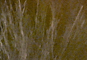 Olympus PEN E-PL5: s výkonnějším srdcem