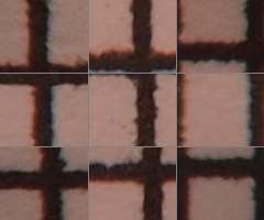 Olympus M.Zuiko Digital 14-150 mm F4-5,6