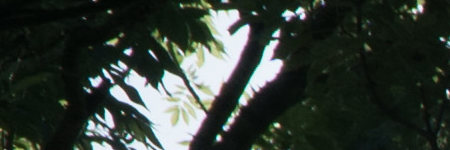 Sony E PZ 18-105mm F4 G OSS (SELP18105G)