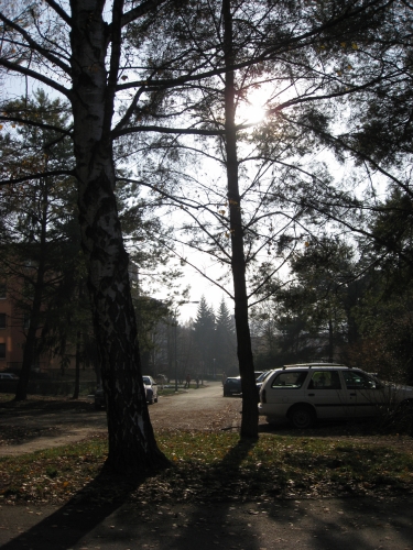 Canon IXUS 950 IS: důsledek evoluce