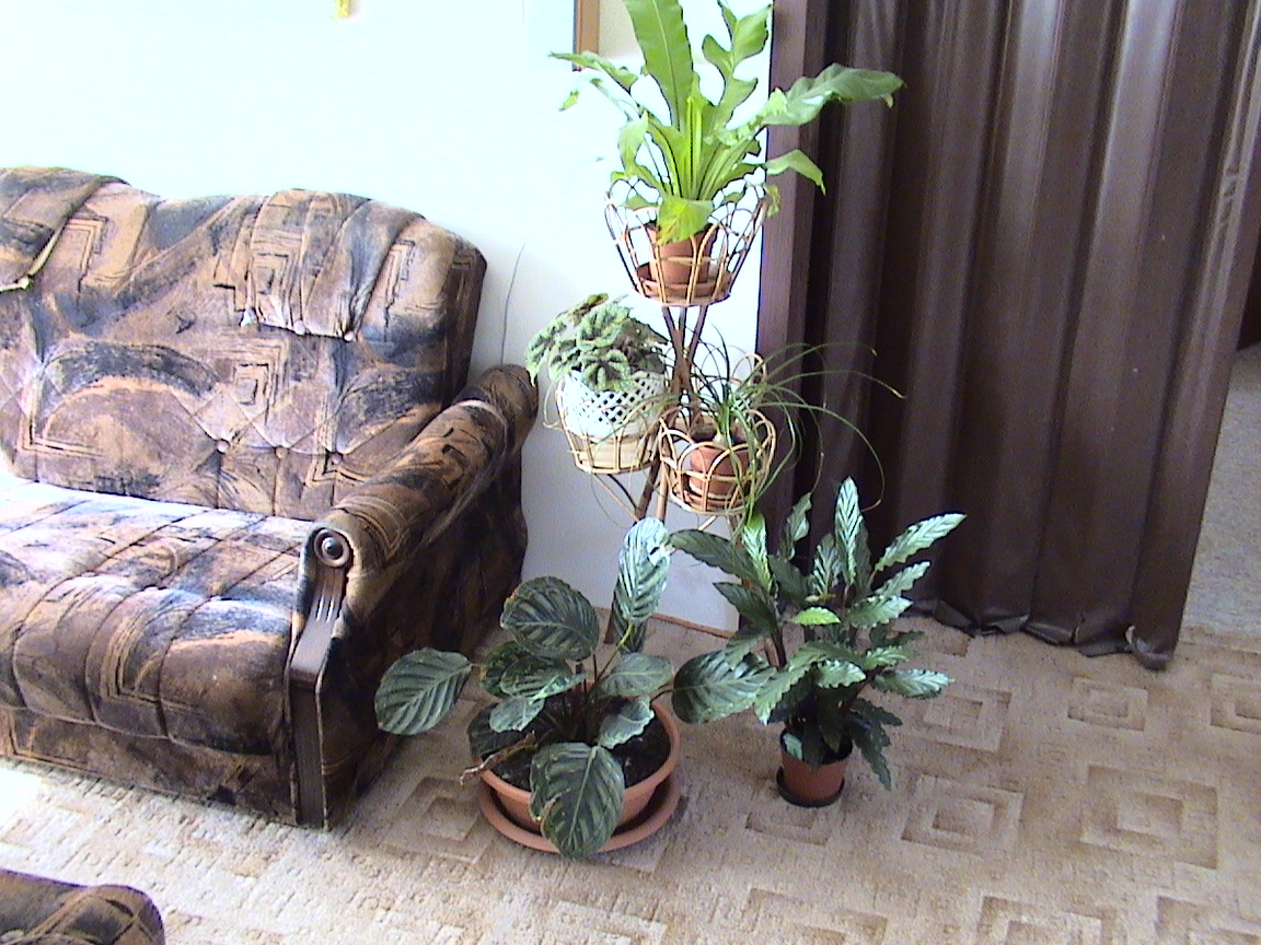 Videokamera s pevným diskem: Sony Handycam DCR-SR70