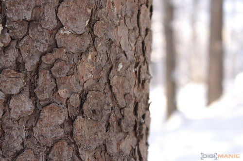 Samsung NX100: "zrcadlovka" do kapsy