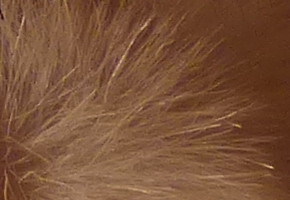 Panasonic Lumix FZ72: nejširší i nejdelší