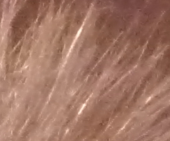 Panasonic Lumix TZ10: kapesní dělo