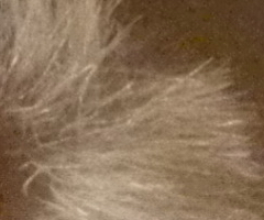 Nikon Coolpix S1100pj: kino v kompaktu