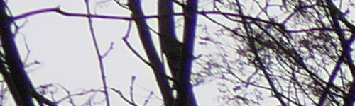 Panasonic Lumix FZ2000: ultrazoom nebo profi kamera?