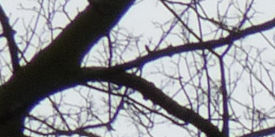 Panasonic Lumix FZ200: ultrazoomové překvapení roku