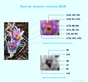 Úpravy digitální fotografie I: Úvod